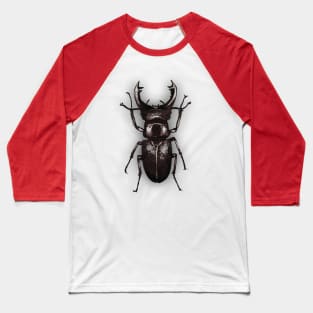 Bugs-4 Stag Beetle Baseball T-Shirt